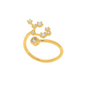 ANELLO-COSTELLAZIONE-SAGITTARIO